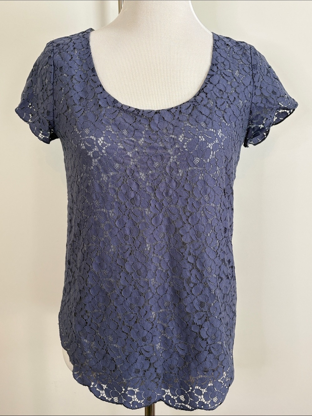 TALULAH Periwinkle Floral Lace Short Sleeve Scoop Neck Top S